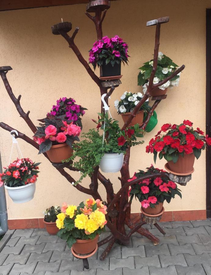 Casa Alberto ソバタ エクステリア 写真